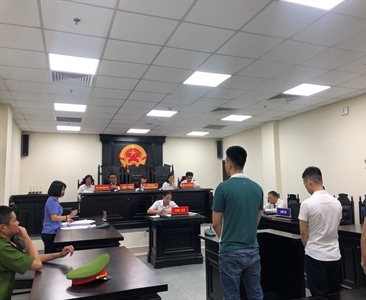 Xử lý nghiêm các bị cáo có hành vi trồng cây Cần sa ngay tại địa bàn thành...